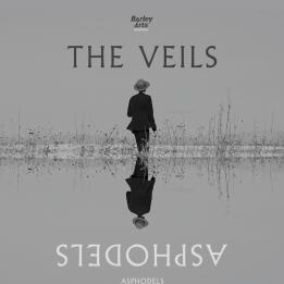 The Veils concerti